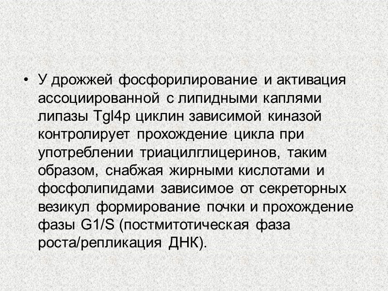 У дрожжей фосфорилирование и активация ассоциированной с липидными каплями липазы Tgl4p циклин зависимой киназой